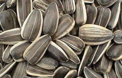 孕期吃贝贝瓜的好处,贝贝瓜的益处与食用建议