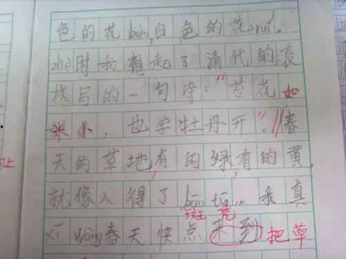 小朋友在瓜地里吃瓜作文,瓜地里的欢乐时光