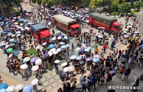 吃瓜大车,一场全民参与的娱乐盛宴