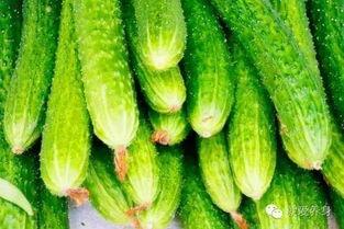 吃瓜四个,揭秘“吃瓜群众”背后的故事与真相